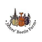 James’ Beetle Farm - @james_beetle_farm - Instagram