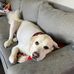 James Beebe - Facebook