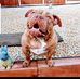 James Beeching - Facebook