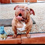 James Beeching - @ix_shadowkid635 - Instagram