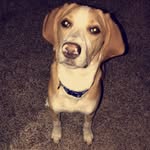cooper james beerbower - @cooperbeerbower - Instagram