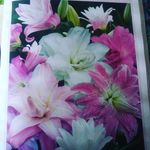 James Behan - @behan7413 - Instagram