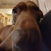 James Behanna - Facebook