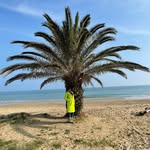 James Behanna - @pivikonomi - Instagram