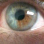 James Belisle - @jbelisle1065 - Instagram