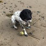 James Bellis - @james.bellis - Instagram