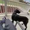 james.bench4 - @james.bench4 - TikTok