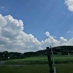 James Bendall - @james_bendall01 - Instagram