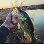 James Bender - @james.bender - Instagram