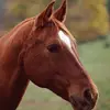 jamesberganly - @jamesberganly - TikTok