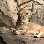 Brandon james bergfelt - @brandon51840 - Instagram