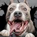 James Berglund - Facebook