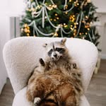 @james_berklin - Instagram