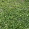 Jamesberkem - @jamesberkem - TikTok