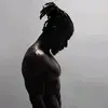 African Horse - @jamesberko06 - TikTok