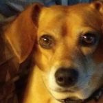 James Liberkowski - @jamesliberkowski - Instagram