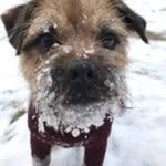 @james.bermingham72 - Instagram