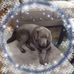 James Berndsen - Facebook