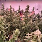 James Berner - @berner.james - Instagram