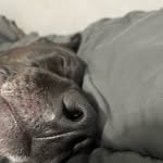 Logan James Bersterman - @loganjamesbersterman - Instagram