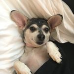 James Bertram - @jbdzzlr - Instagram