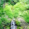 james bertram - @jamesbertram.45 - TikTok