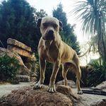 Ricky James Beswick - @ricky_jamez - Instagram