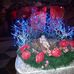 Victoria James - Facebook