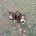 James Bettin Jr. - Facebook