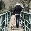 James Bevan - @james.bvn - TikTok