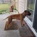 James Bibbs - Facebook
