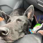 James Bickerton - @bickerton_james - Instagram