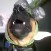 jamesbickle400 - @jamesbickle400 - TikTok