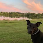 Jim Bierbaum - Facebook