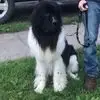 bigger.james - @bigger.james - TikTok