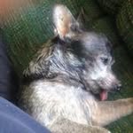 James Biggers - @james.biggers501 - Instagram