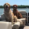 Archibald James - @archibildjames - TikTok