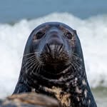 James Billman - @billman107 - Instagram