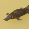 jamesbilodeau84 - @jamesbilodeau84 - TikTok