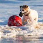 Richard James Bilton - @richard.bilton - Instagram