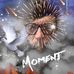 James Binford - Facebook