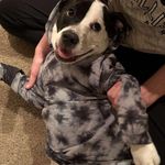 James Binns - @bins_james - Instagram