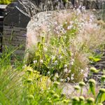 James Bird Landscapes - @jamesbirdlandscapes - Instagram