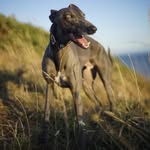 James Birt - @birt_james - Instagram