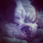 James Bitzer - @bit.james - Instagram