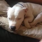 James Bjorkly - @jamesbjorkly - Instagram