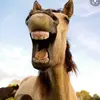 James Blackley77 - @blackers1999 - TikTok