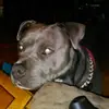 jamesblazek - @jamesblazek - TikTok