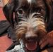 James Thomas Blessman - Facebook