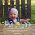 James Blomgren - Facebook